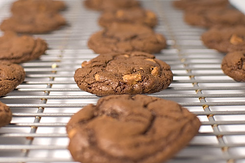 Triple Chocolate Peanut Butter Cookies